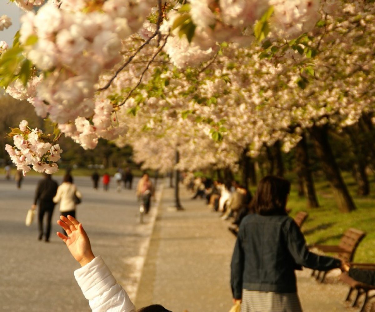 Tokyo